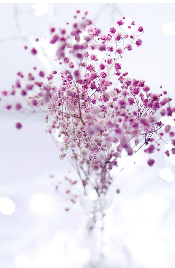 Облако счастья – как гипсофила завоевала свадебную флористику