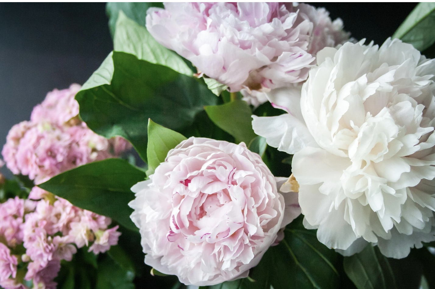 Вечная дилемма – живые или искусственные цветы