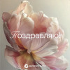 Дизайнерская мини карточка "Поздравляю"