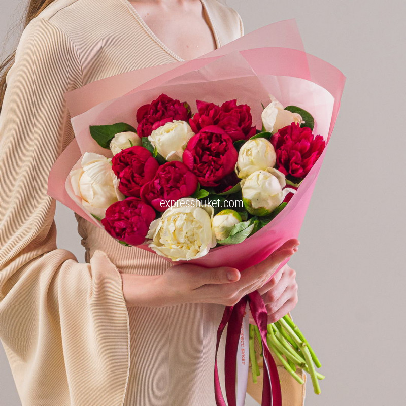 Пионы микс белые+красные