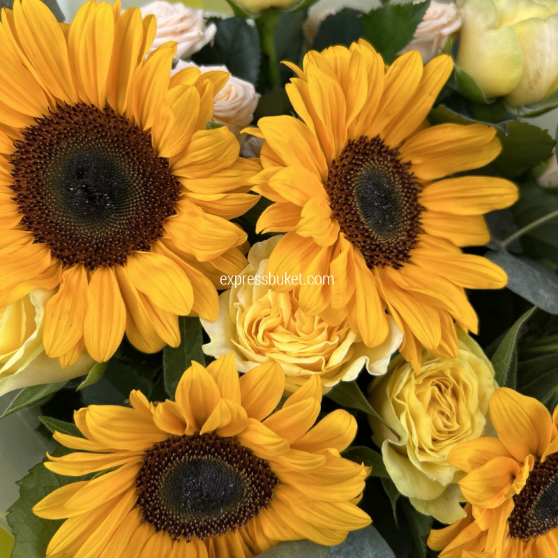 Летние мотивы