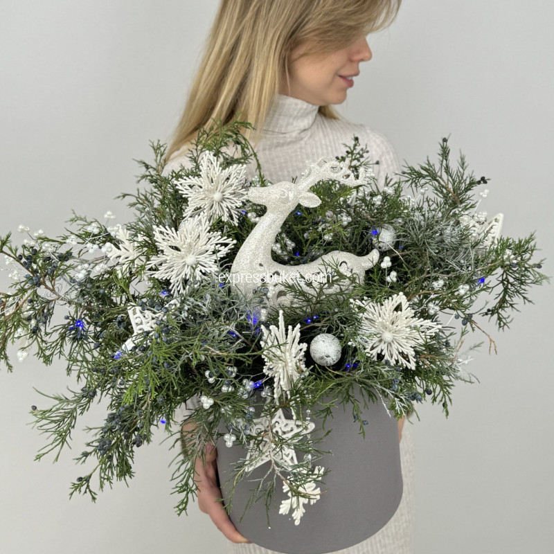 Ледяные мечты