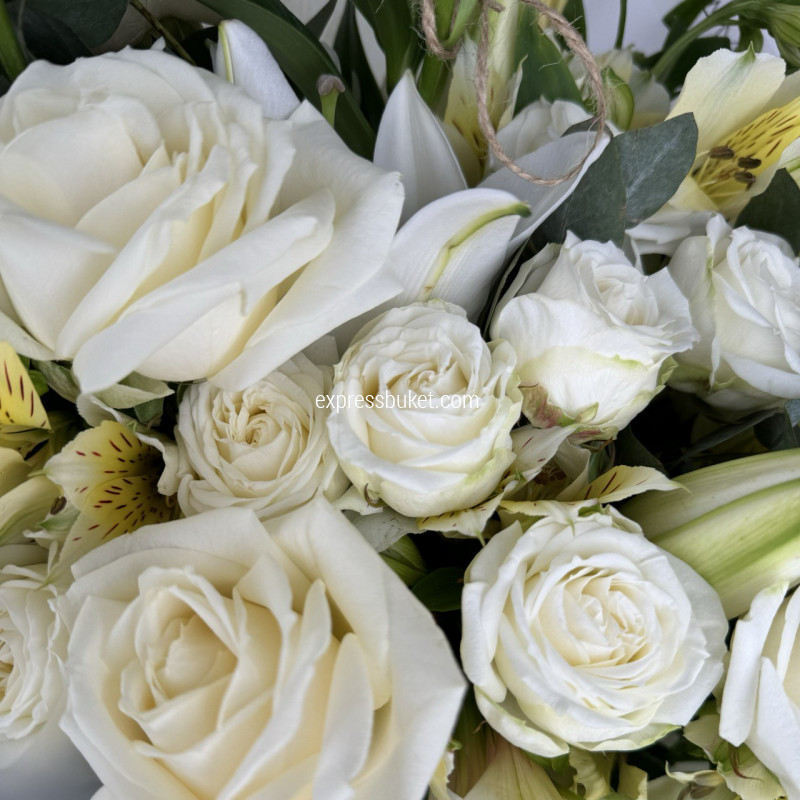 Созвездие роз