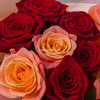 Микс роз персиковые+красные 9шт