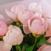 Розовые пионы 7 шт