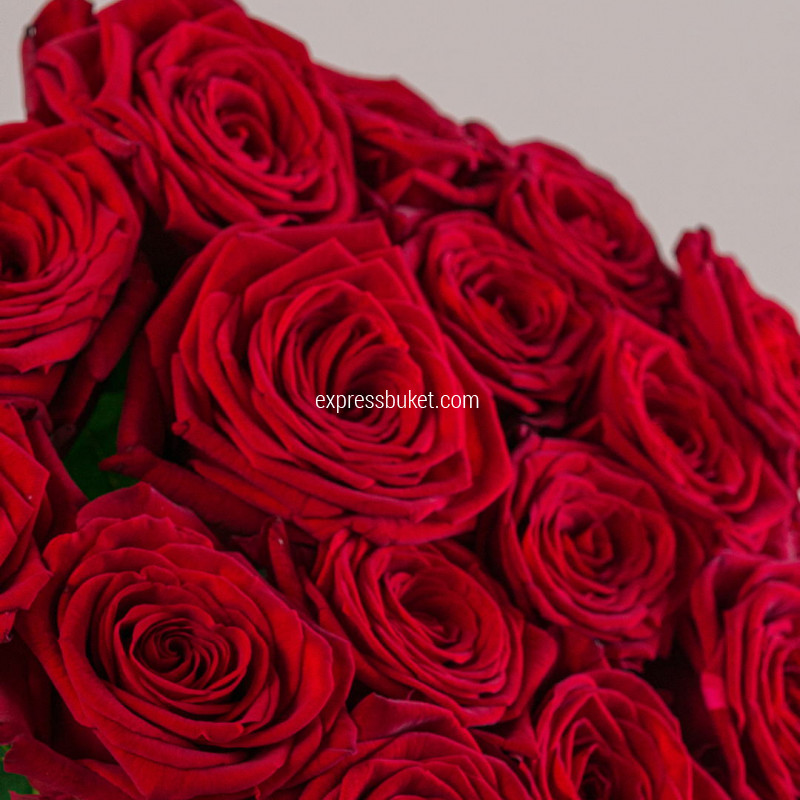 Букет из 15 красных роз 70см 