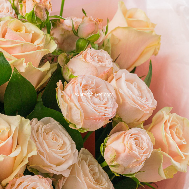 Пудровая нежность